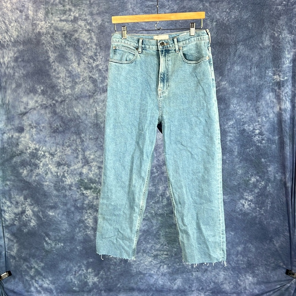 Everlane The Way High Jean in Distressed  Sz 29